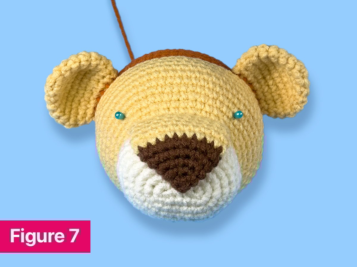 Figure 7: shows eye placement marked with straight pins