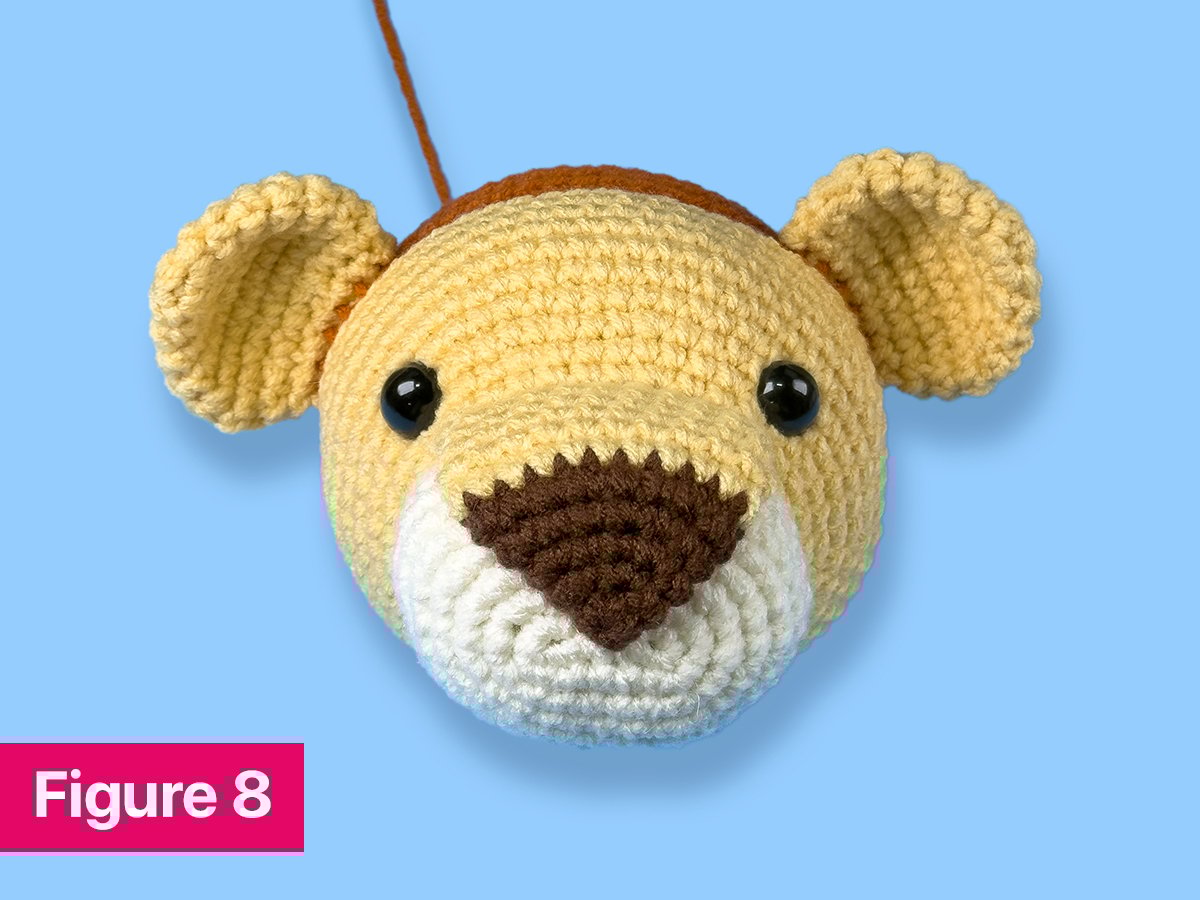 Figure 8: shows head with 15mm safety eyes inserted & backings secured