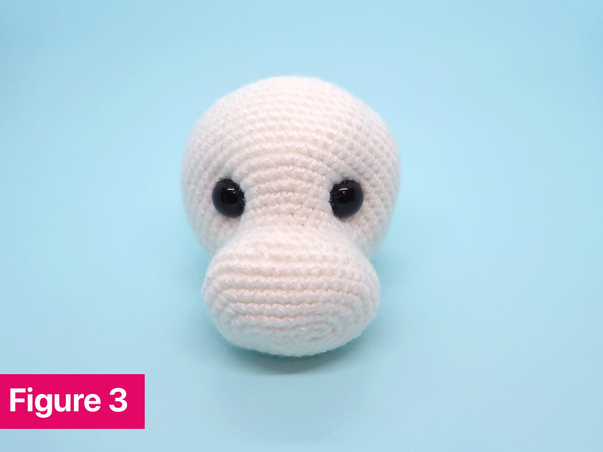 Figure 3: shows the process of indenting the eyes completed