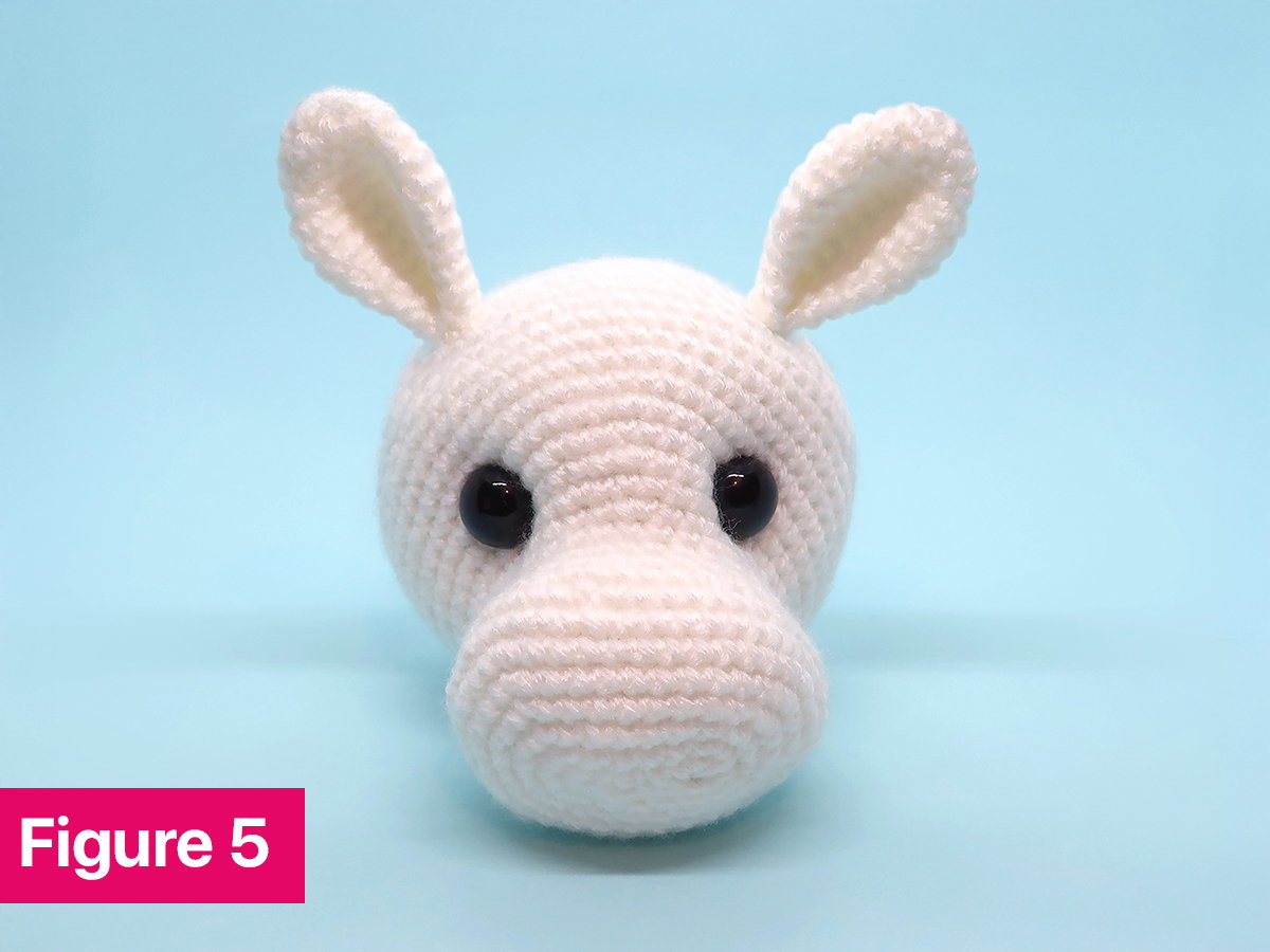 Figure 5: shows both ears attached